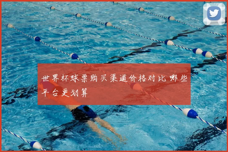 世界杯球票购买渠道价格对比 哪些平台更划算
