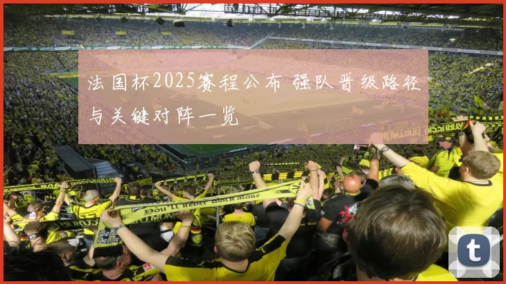 法国杯2025赛程公布 强队晋级路径与关键对阵一览