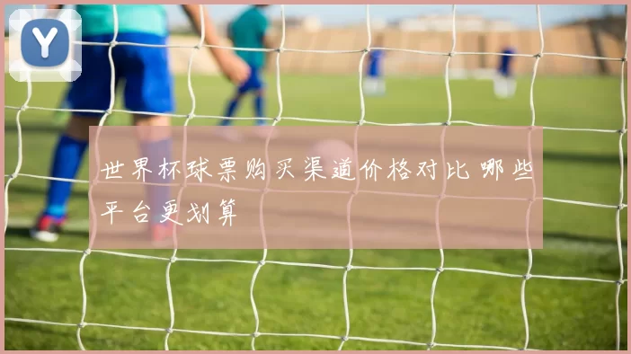 世界杯球票购买渠道价格对比 哪些平台更划算