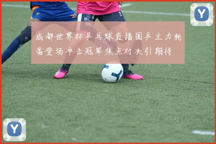 成都世界杯乒乓球直播国乒主力轮番登场冲击冠军焦点对决引期待